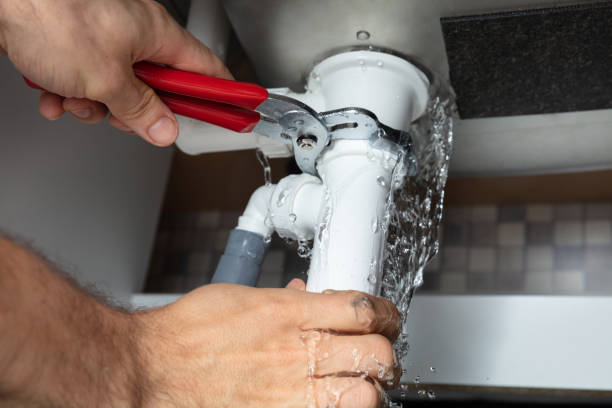 Best Carpet water damage restoration  in Oakville, MO