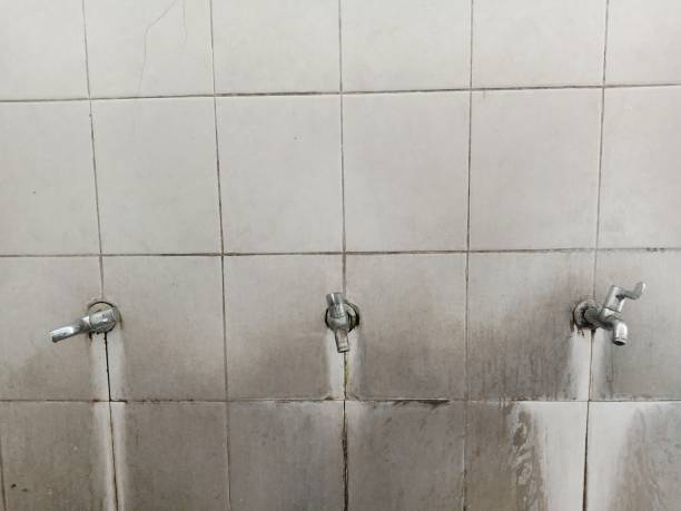 Best Residential water damage restoration  in Oakville, MO