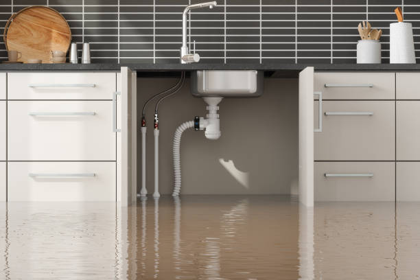 Best Flood damage cleanup  in Oakville, MO