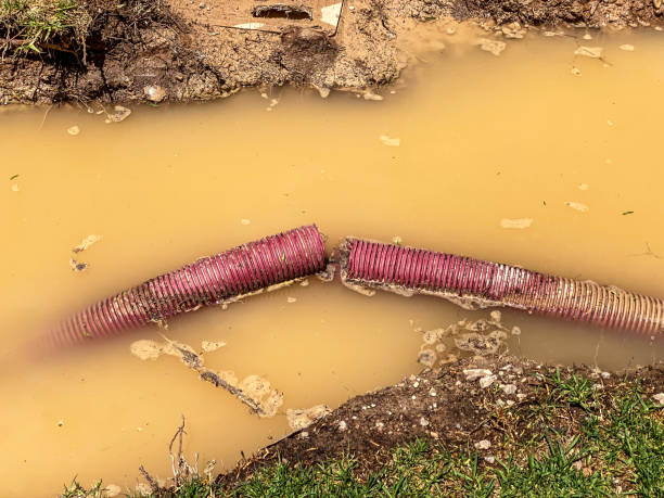 Best Sewage cleanup and water damage restoration  in Oakville, MO