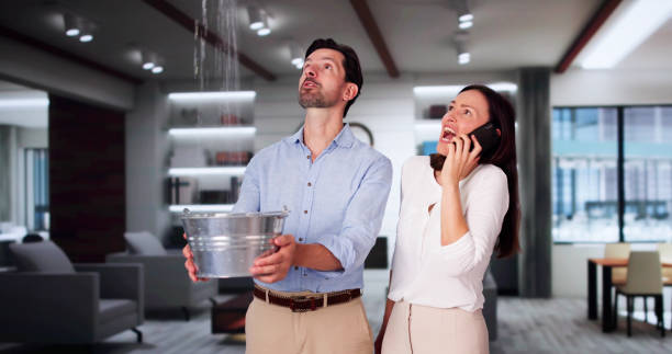 Best Water damage restoration near me  in Oakville, MO